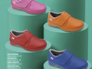 zapato miln scl liso colores dian.png