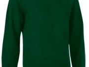 jersey de oficina verde.jpg