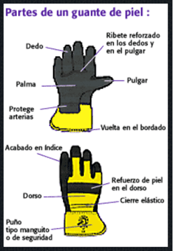 Tipos de guantes de limpieza para cada uso