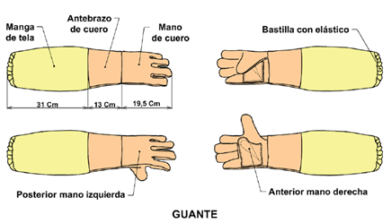 el primer plano de las manos de los trabajadores de la industria  profesional con guantes protectores